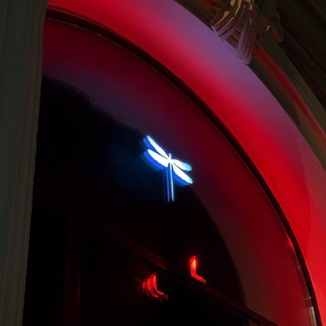 Телеграм-канал eatpeterburg отправился на ужин под звуки рояля в Maison Rouge и оценил обновлённое меню: крудо из дорадо, питивье, ризотто с лангустинами. Дальше расскажем, какие блюда и цены стоит запомнить.