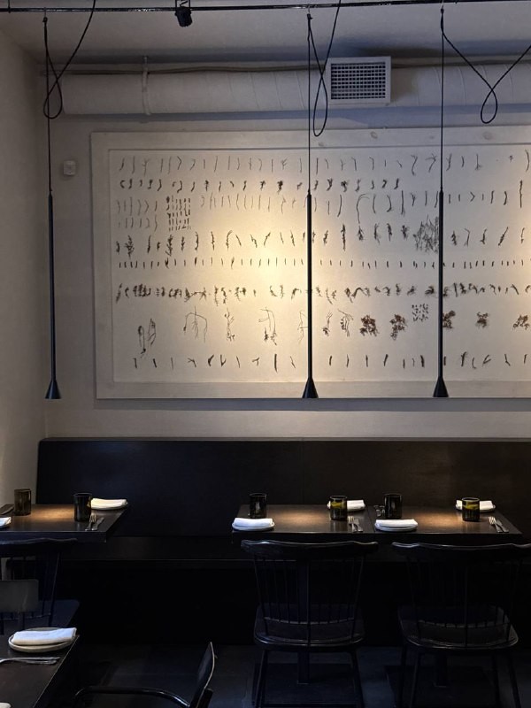 Наш гастроэнтузиаст из канала @eatpeterburg заглянул в ресторан Meal, где царят ферментация и эксперименты. Узнайте, стоит ли идти за новыми вкусами.