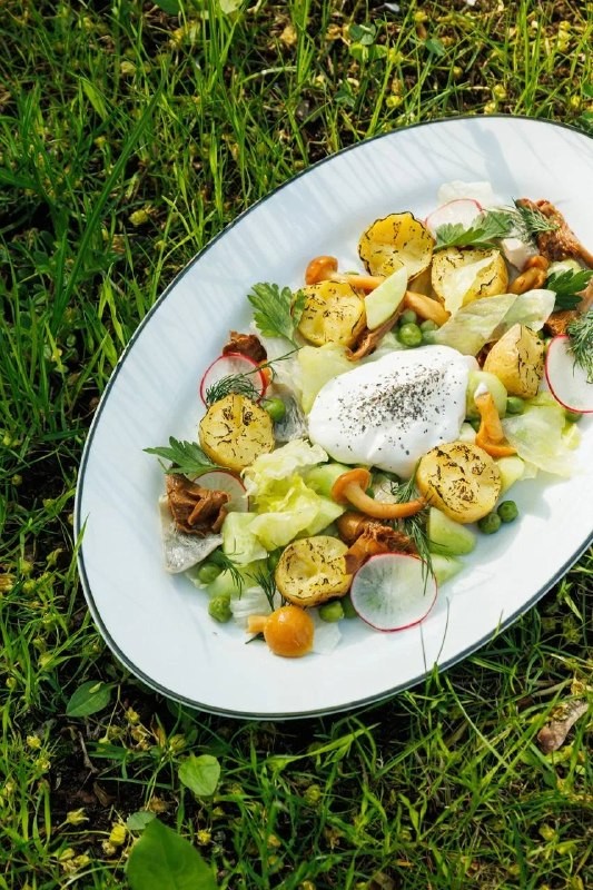 Корреспондент канала «Вкусный Петербург» (@rest_peterburg) заглянул в ресторан «Огородники», чтобы оценить новое дачное меню. Читайте, что он попробовал и сколько это стоит!
